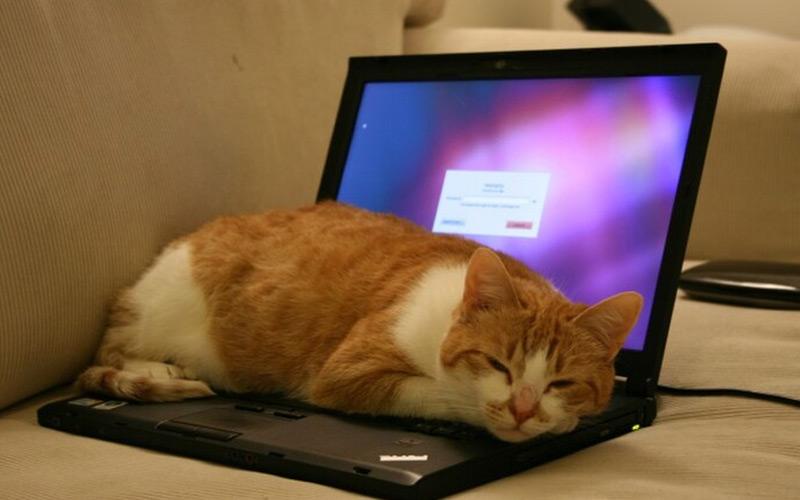 Bạn không nên để nhiều đồ nặng lên laptop