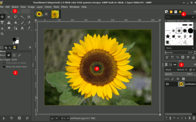 GIMP – Phần mềm thiết kế, chỉnh sửa hình ảnh