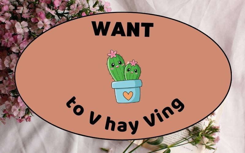 Dùng want to V hay Ving sao cho đúng?