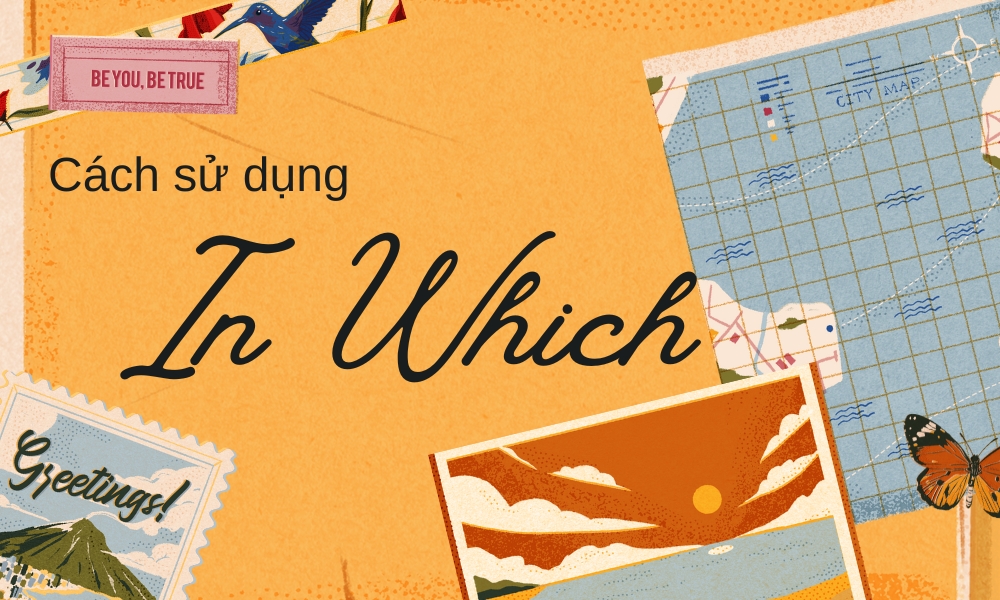 Cách sử dụng “in which”