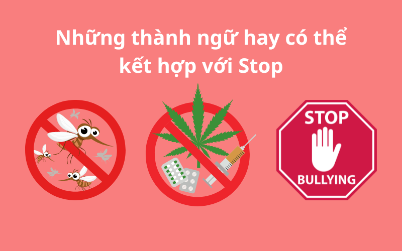 Những thành ngữ hay có thể kết hợp với “Stop”