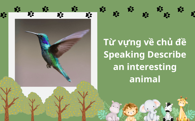 Từ vựng về chủ đề Speaking Describe an interesting animal
