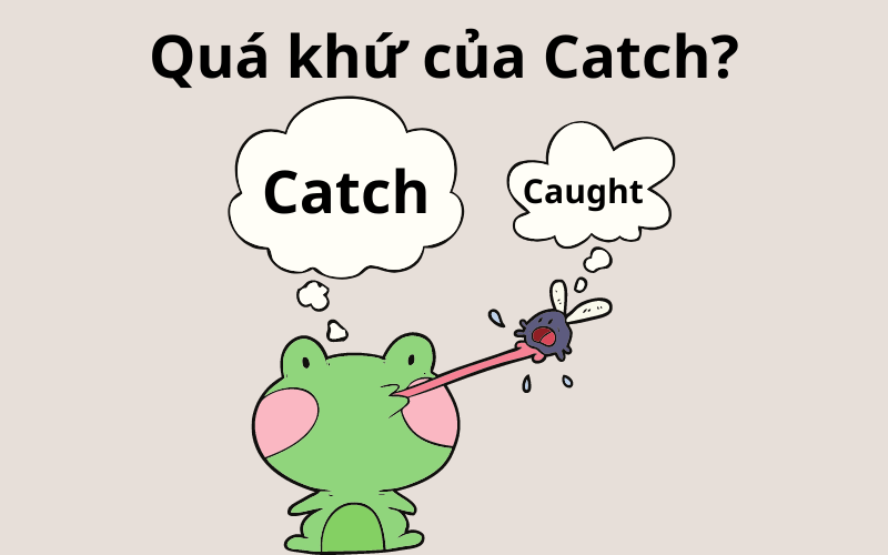 Quá khứ của Catch?