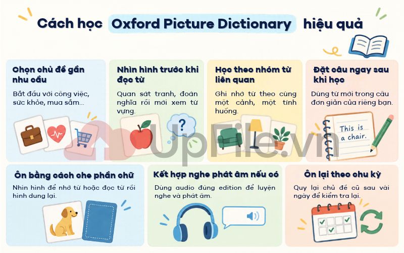 Cách học Oxford Picture Dictionary hiệu quả